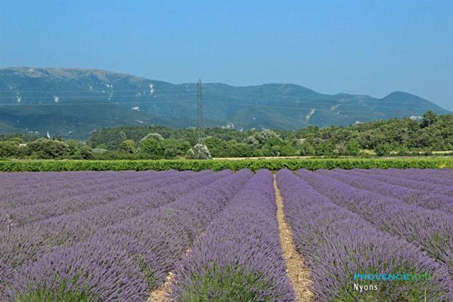 Villa Les Pins Mirabel-aux-Baronnies 外观 照片